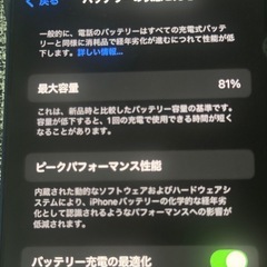 Phone 12 mini ブルー 64GB ケースケース付きの画像