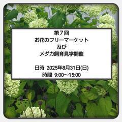 お花のフリーマーケット及びメダカ飼育見学開催