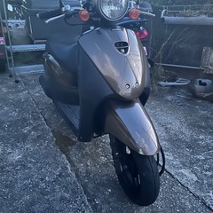 トゥデイ AF67 原付①の画像