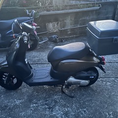 トゥデイ AF67 原付①の画像