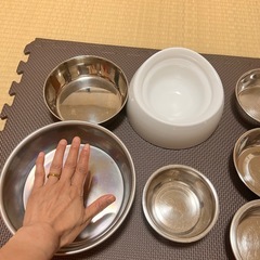 ペット食器の画像