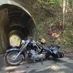 ⭐️YAMAHA　ドラックスター250 実働車の画像