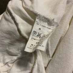 エディフィス　半袖シャツ　サイズ38(M) 身幅47、総丈62センチの画像