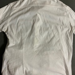 エディフィス　半袖シャツ　サイズ38(M) 身幅47、総丈62センチの画像