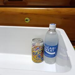 薄型クーラーボックスの画像