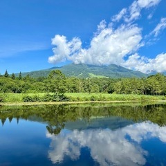 復活します　グルキャンや情報共有の場