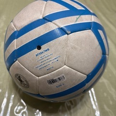 ⚽️サーカボールの画像