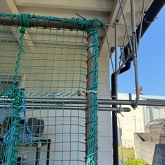 バッティングネットの画像