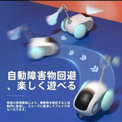 リモコン付きスポーツカーおもちゃ; 猫じゃらし; 超インタラクティブペット用おもちゃの画像