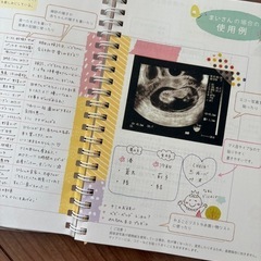 マタニティダイアリー　日記帳の画像