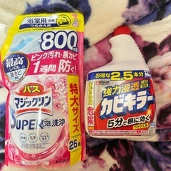 お掃除2点セット