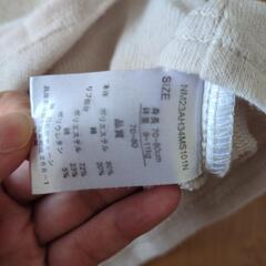 トレーナーの画像