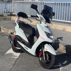 シグナス1型 
の画像