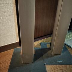 BOSE 55WER-S トールスピーカー（シルバー）の画像