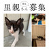 ランキングキーワードに紐づく投稿画像-黒猫