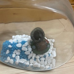 金魚鉢セットの画像