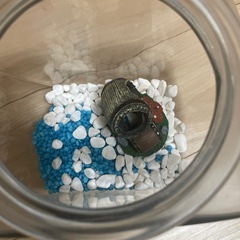 金魚鉢セットの画像