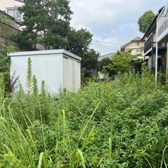 草刈り〜何でも
