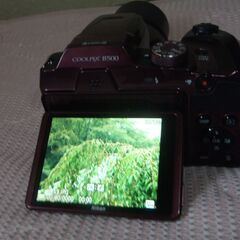 ❤️動作品２台★スマホ転送★ニコンB500プラム人気色★４kコンデジ★軽量★まとめ売りの画像