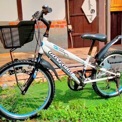 取引終了　　　　　　　　　　　　　　　　　　　　加古川　中古自転車　子供用　白　ライト付き　泥除け付き　20インチ　鍵付き　カゴ付きの画像