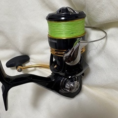 レガリス2500 の画像