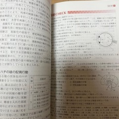 リードａ生物基礎＋生物六訂版　解答編付き　数研著の画像