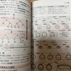 リードａ生物基礎＋生物六訂版　解答編付き　数研著の画像