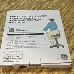 バランスクッション　タニタ　33センチ径の画像