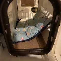 猫用 キャリーケースの画像