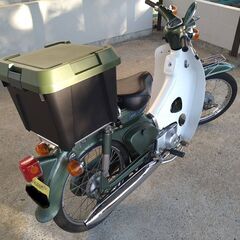 カモメクジラカブｃ50の画像