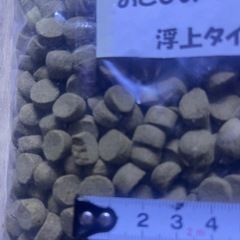おとひめ EPF-10   餌　アロワナ　ダトニオ　熱帯魚　鯉　の画像