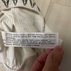 ZARA 刺繍トップスの画像