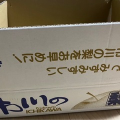 市川梨の画像
