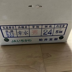 市川梨の画像