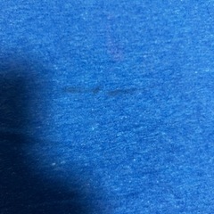 2019 Buda Turkey Trot イベントTシャツ L 青の画像
