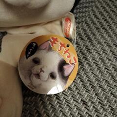 もちねこ　ぬいぐるみの画像