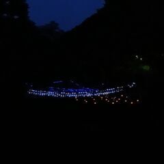 熱海に突然現れた！ゲリライルミーション