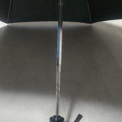 傘 黒の画像