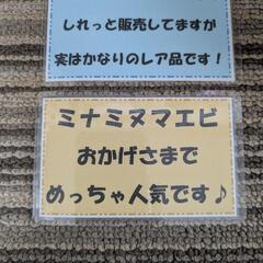 メダカ・レア水草etcの画像