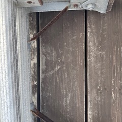 2連はしごの画像