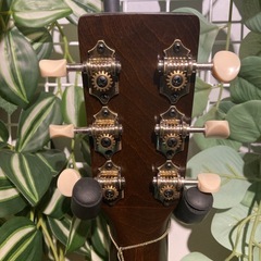 Art and luthiere Roadhouseの画像