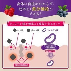 【新品未開封】鉄分　サプリメントの画像