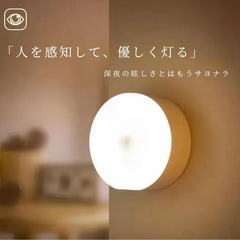 【新品】小型ライト　の画像