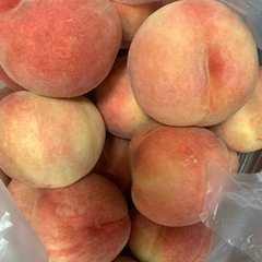 🍑桃 新しい入荷（2025/8/17）150円/1個」の画像