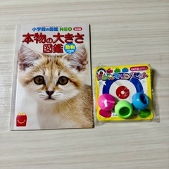スイムキャップの画像