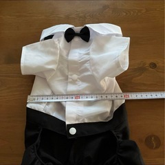 ペット　タキシードの画像