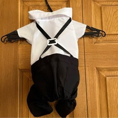 ペット　タキシードの画像