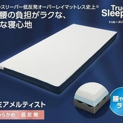 トゥルースリーパー　マットレスの画像