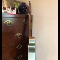 エレアコ　フェンダーカリフォルニアの画像