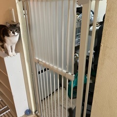 ゲートの画像